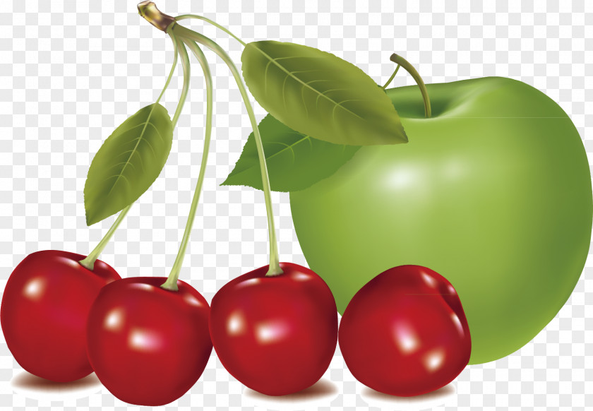 Cherry Apple Material Fruit Vecteur PNG