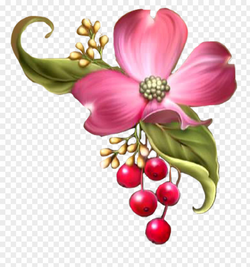 Flower Floral Design Clip Art PNG