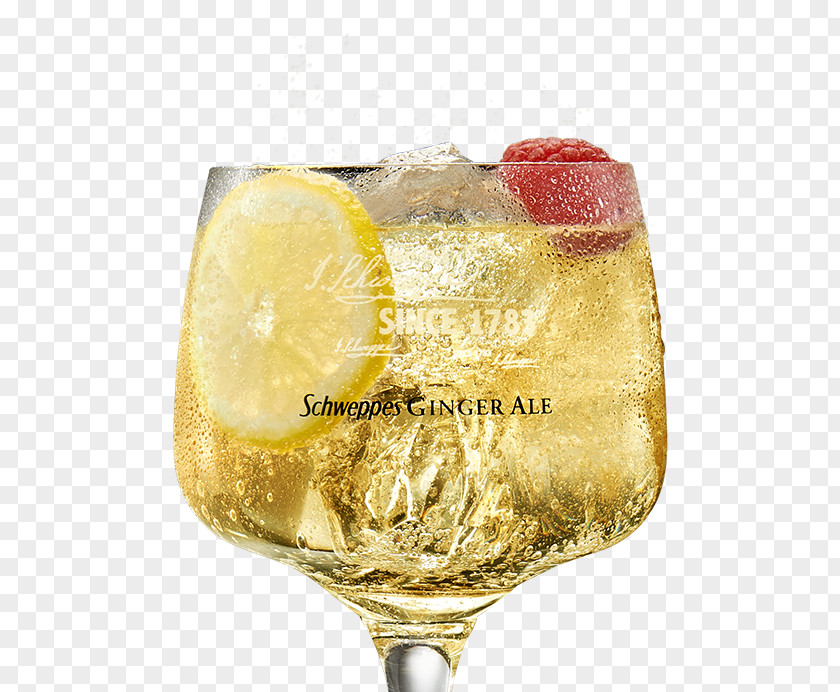 Ginger Ale Cocktail Garnish Gin And Tonic Schweppes PNG