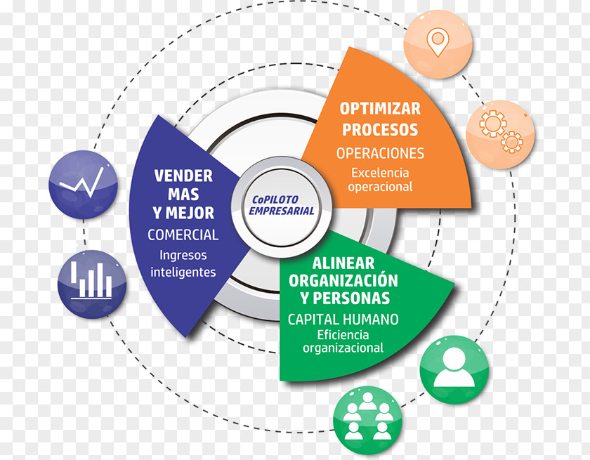 Helice Organization Brand Person Learning Co-driver PNG