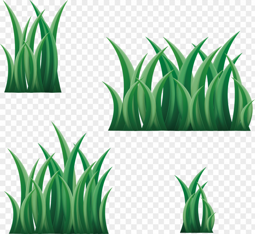 Bright Grass 3D Computer Graphics PNG