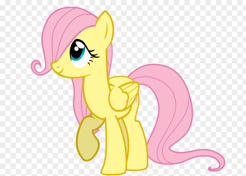 Horse Pony Fluttershy Rarity Rainbow Dash Twilight Sparkle PNG