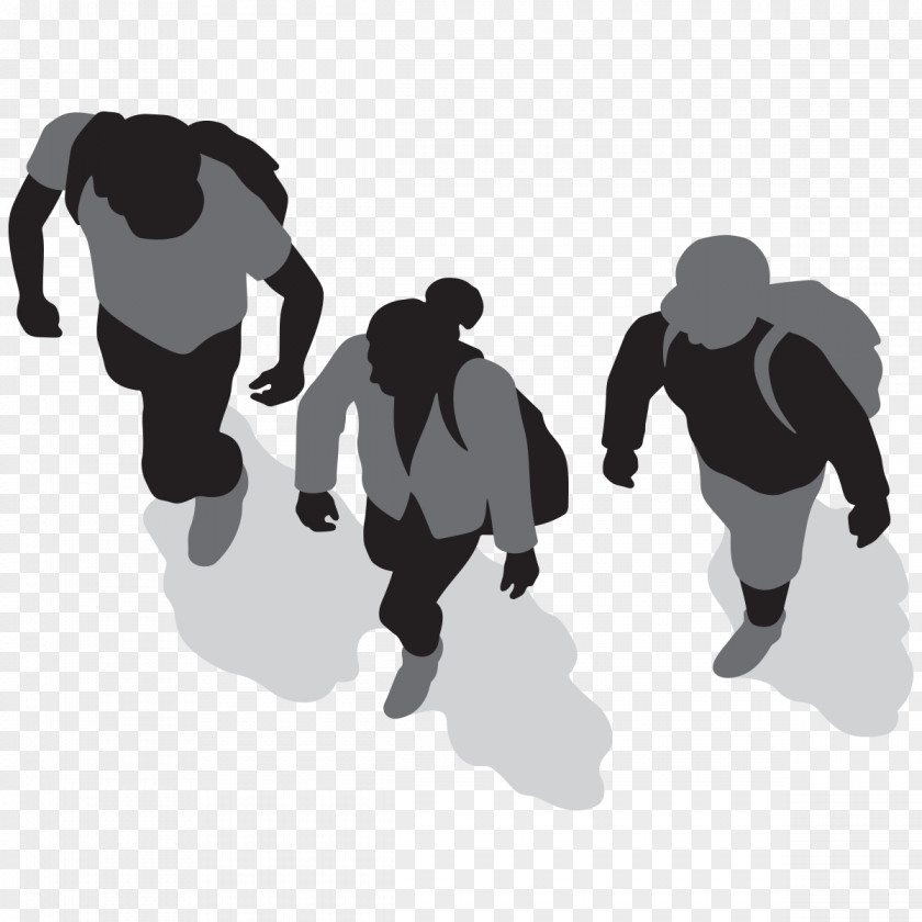 Vector Leaflets Silhouette Walking Drawing Sport PNG