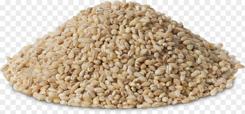 Barley Groat Cereal Grits Whole Grain PNG