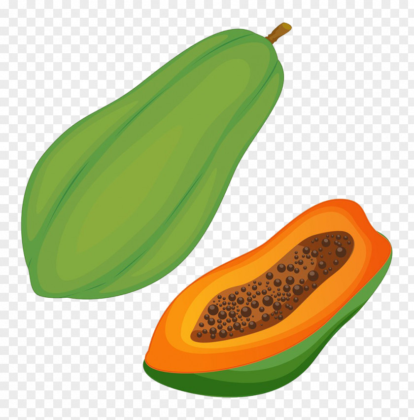 Green Papaya Pawpaw Clip Art PNG