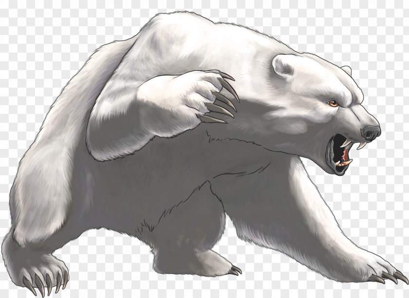 Polar Bear Clip Art Vector Graphics PNG
