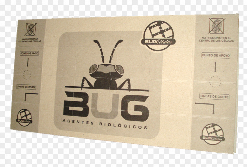 Sylvester Stallone Harry Potter Bug Agentes Biológicos The Wasp Factory Pest Plantation PNG