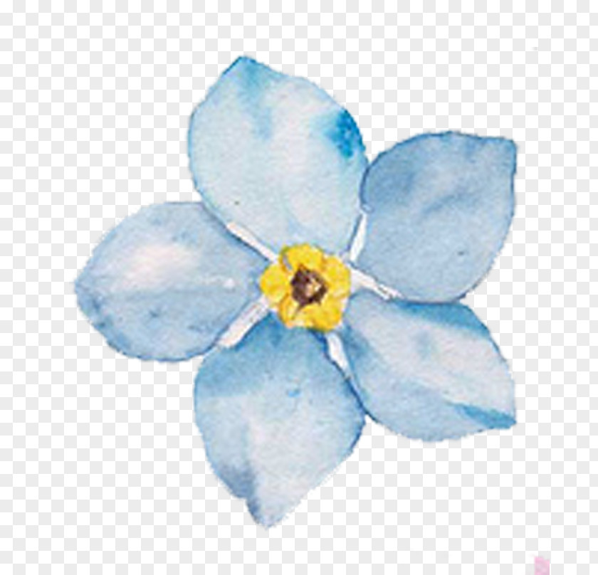 Blue Flowers Watercolor Painting Common Hibiscus Flower PNG