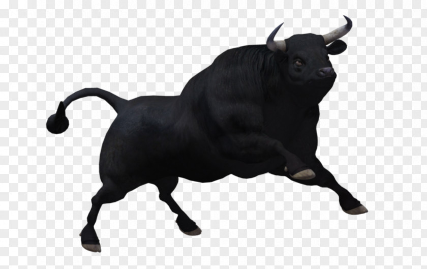 Bull Desktop Wallpaper Clip Art PNG