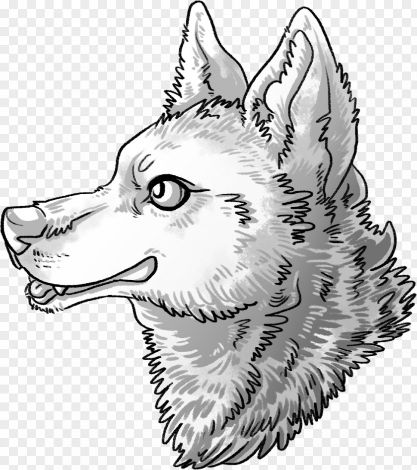 Coyote Wolf Mix Siberian Husky Dog Breed Sketch Coydog PNG
