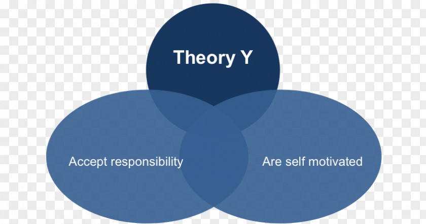 Employee Motivation Theory X And Y Management Organization PNG