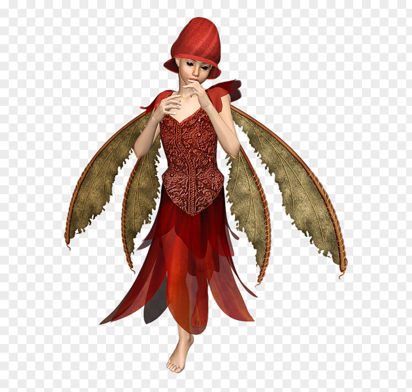 Fairy Tooth Elf Image PNG