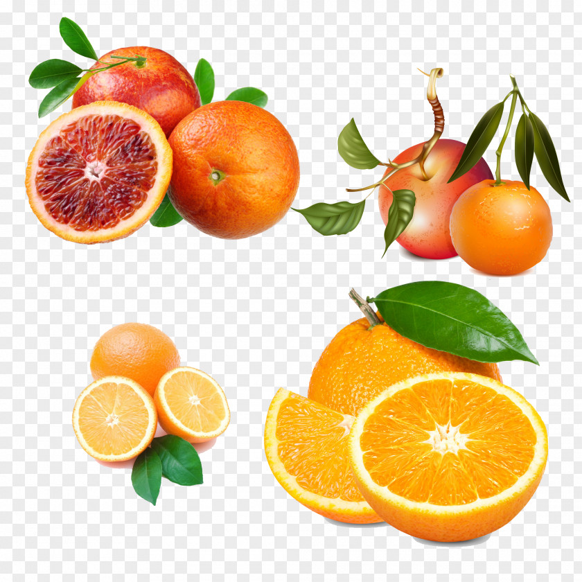 Nutritious Orange Fizzy Drinks Juice Carbonated Water Soft Drink Cream Soda PNG