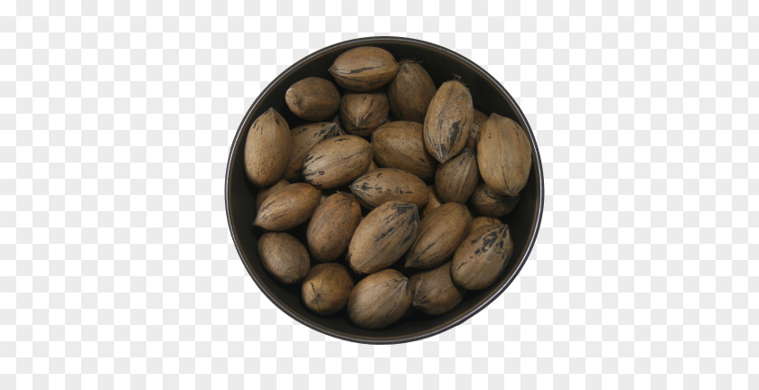 Pecan Nuts Jamaican Blue Mountain Coffee Nut Commodity Bean Superfood PNG