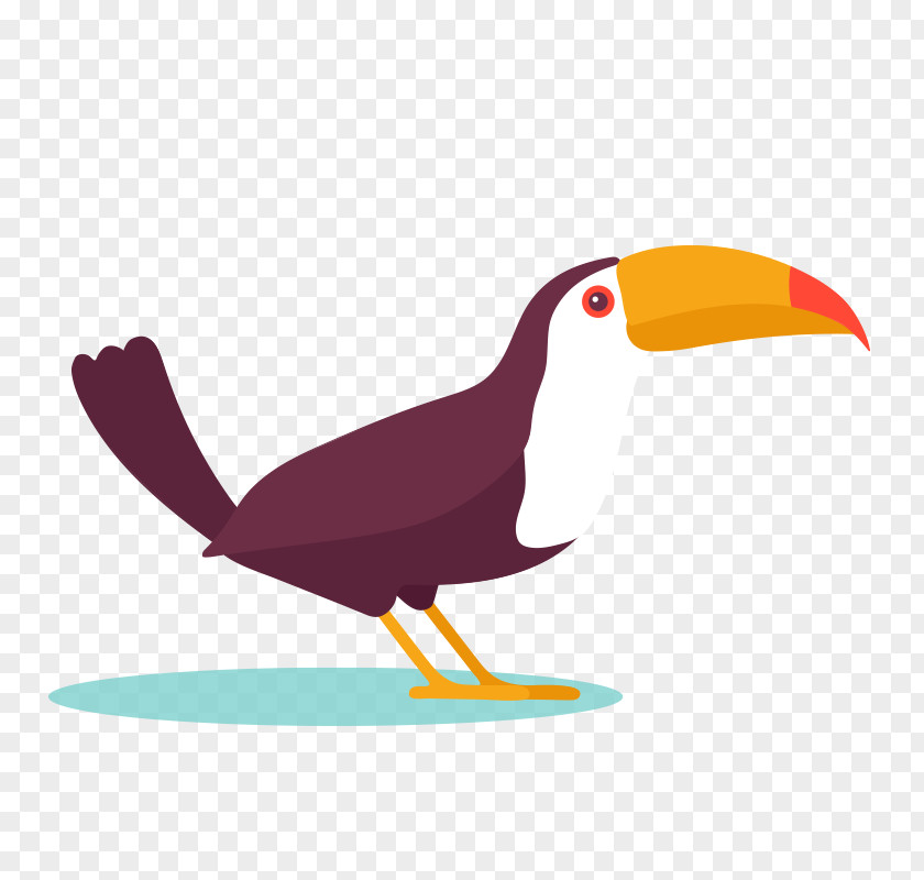 Simple Bird Design Parrot Drawing PNG
