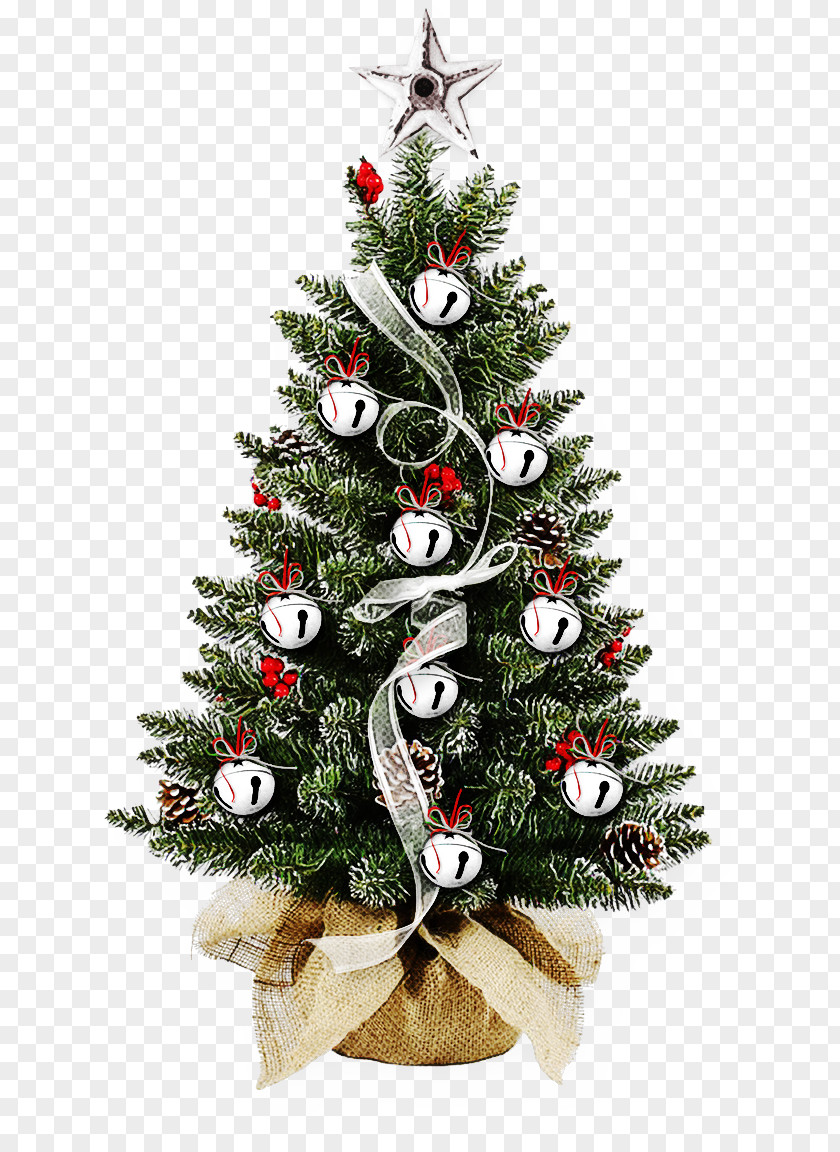 Spruce Pine Christmas Tree PNG