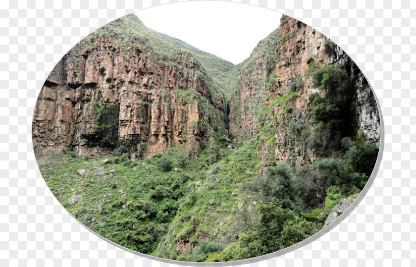 Turismo Tarija Nature Reserve Vegetation National Park Outcrop PNG