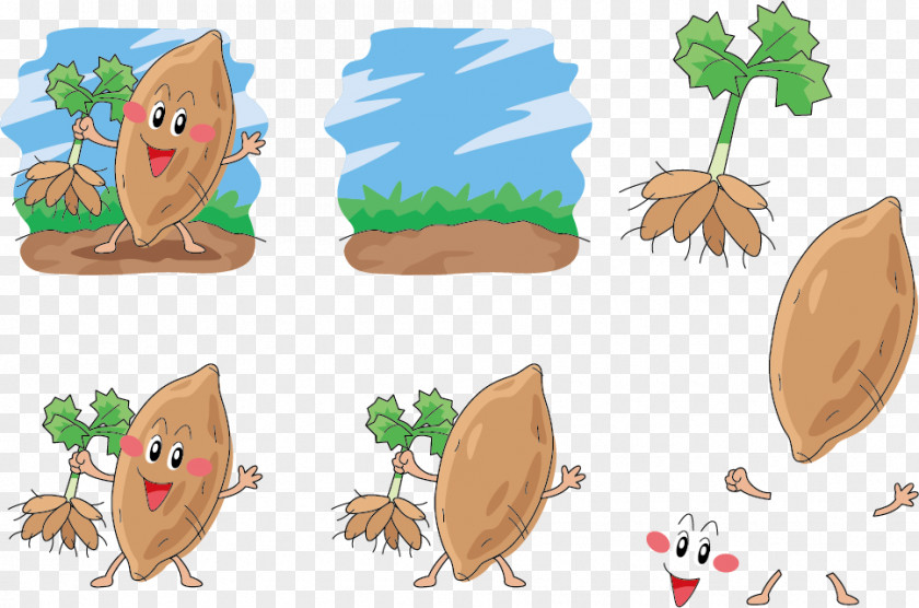 Vector Pull Sweet Potatoes, Potato Face Roasted Cartoon PNG