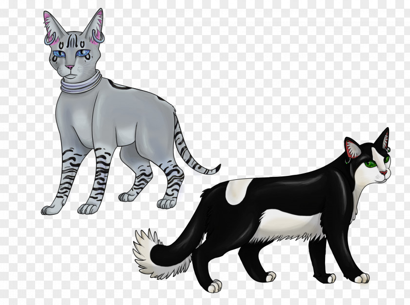 Cat Whiskers Domestic Short-haired Dog Breed PNG