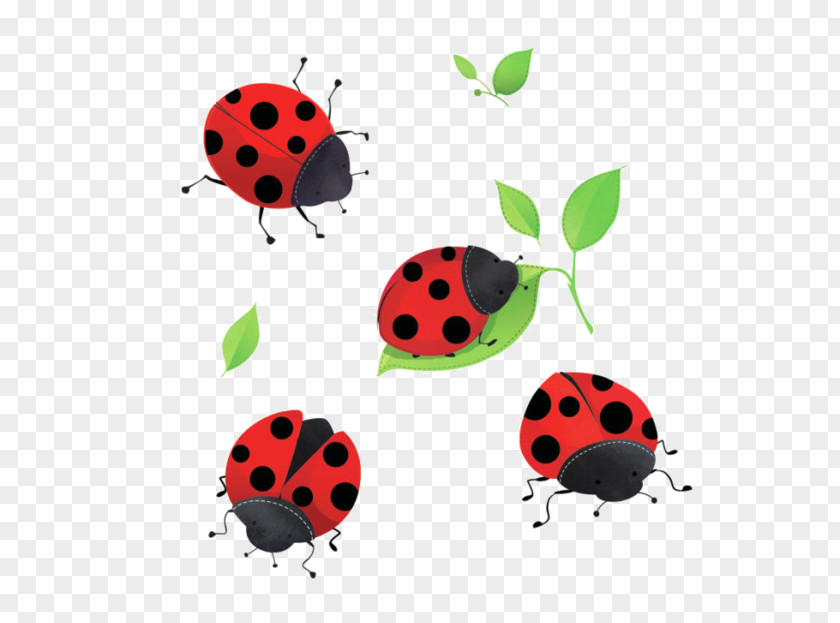 Coccinelle Ladybird Beetle Blog Clip Art PNG