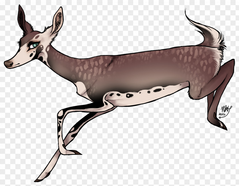 Dog Reindeer Horse Fauna Antler PNG