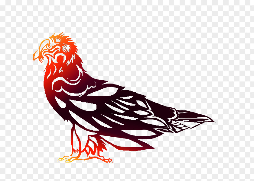 Bearded Vulture Rooster Bird Of Prey PNG