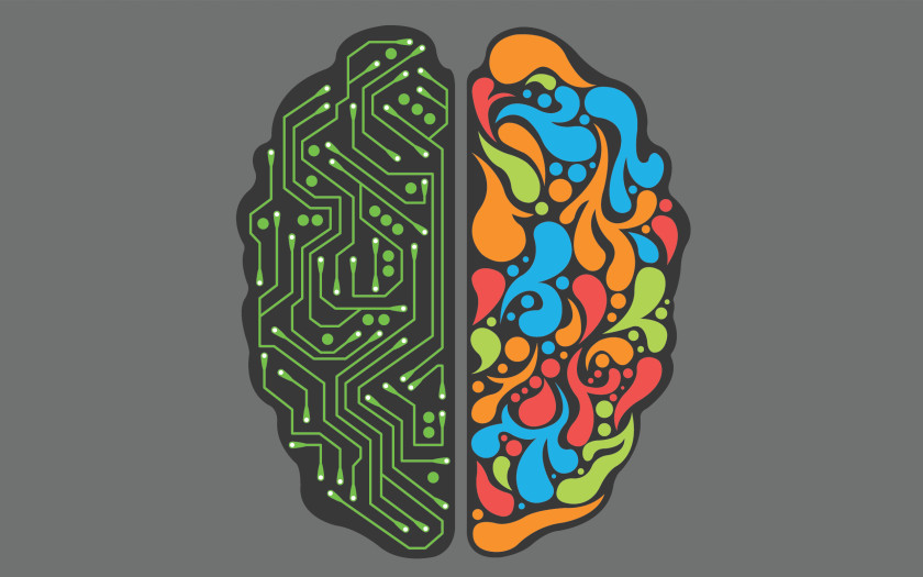 Brain How Your Works Computer Programming Programmer Lateralization Of Function PNG