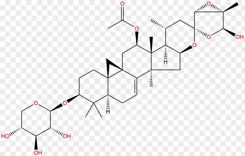 Phytochemicals Ginsenoside Ginseng Chinese Herbology Chemical Compound Protopanaxatriol PNG