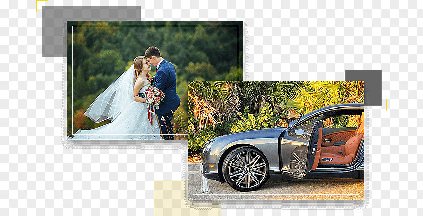 Wedding Car Rental Family Luxury Vehicle Automotive Design Brand PNG