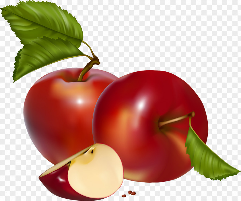 Acerola Frame Apple Clip Art Transparency Image PNG