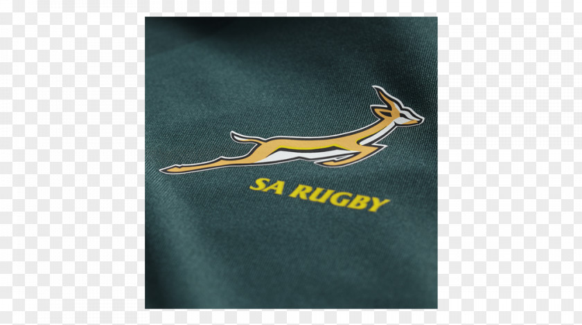Bottle South Africa National Rugby Union Team Green ASICS PNG
