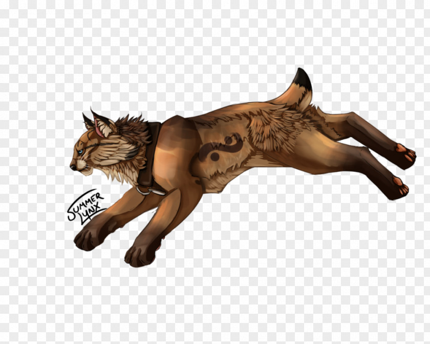 Cat Dog Fur Canidae Wildlife PNG