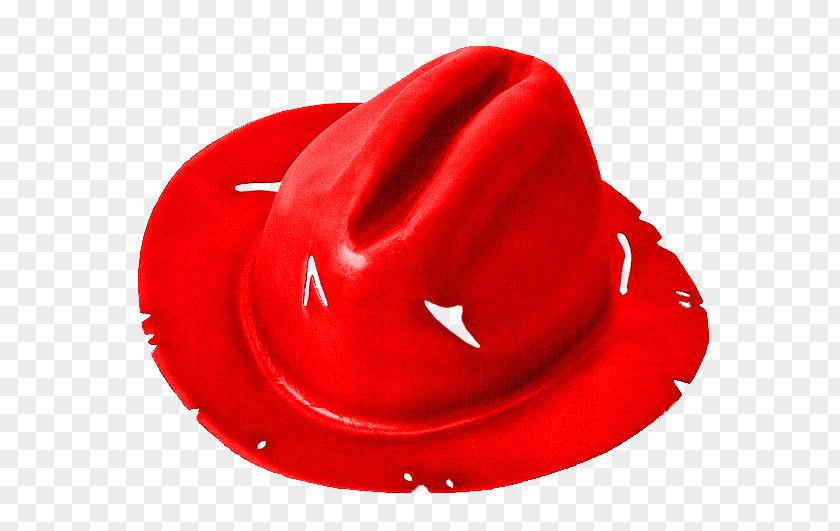 Gorro Freddy Krueger Hat Bonnet Glove Disguise PNG