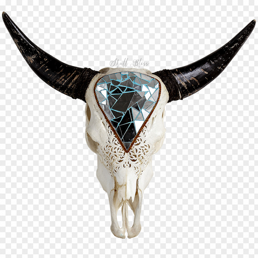 Longhorn Texas English Animal Skulls PNG