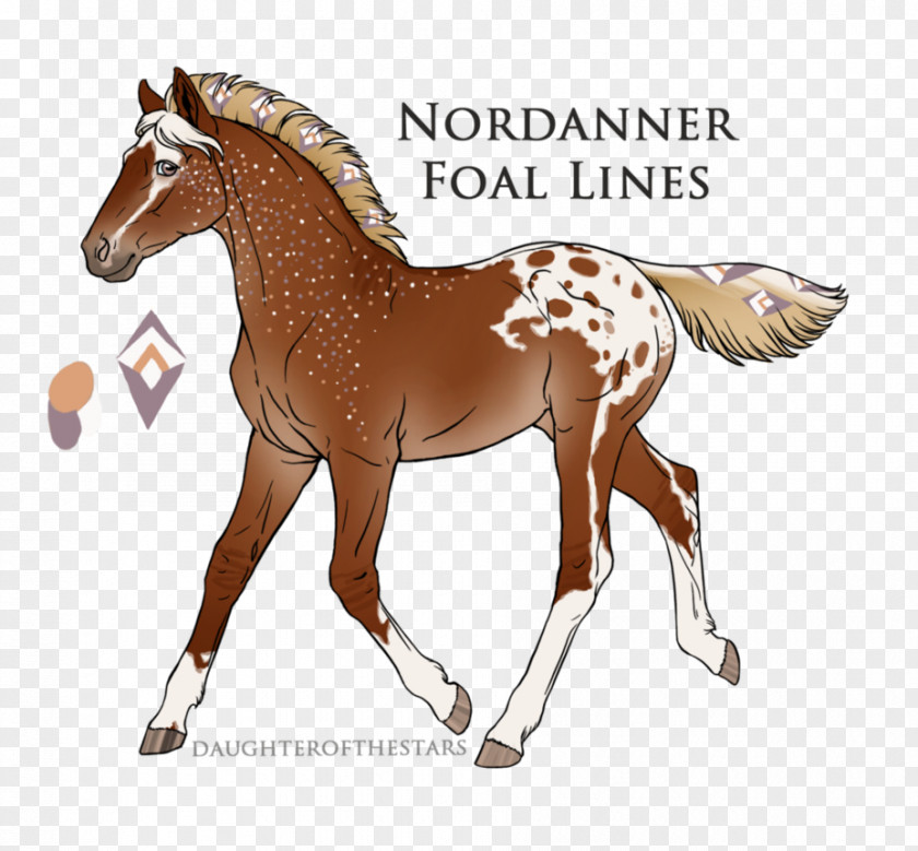 Mustang Foal Pony Stallion Colt PNG