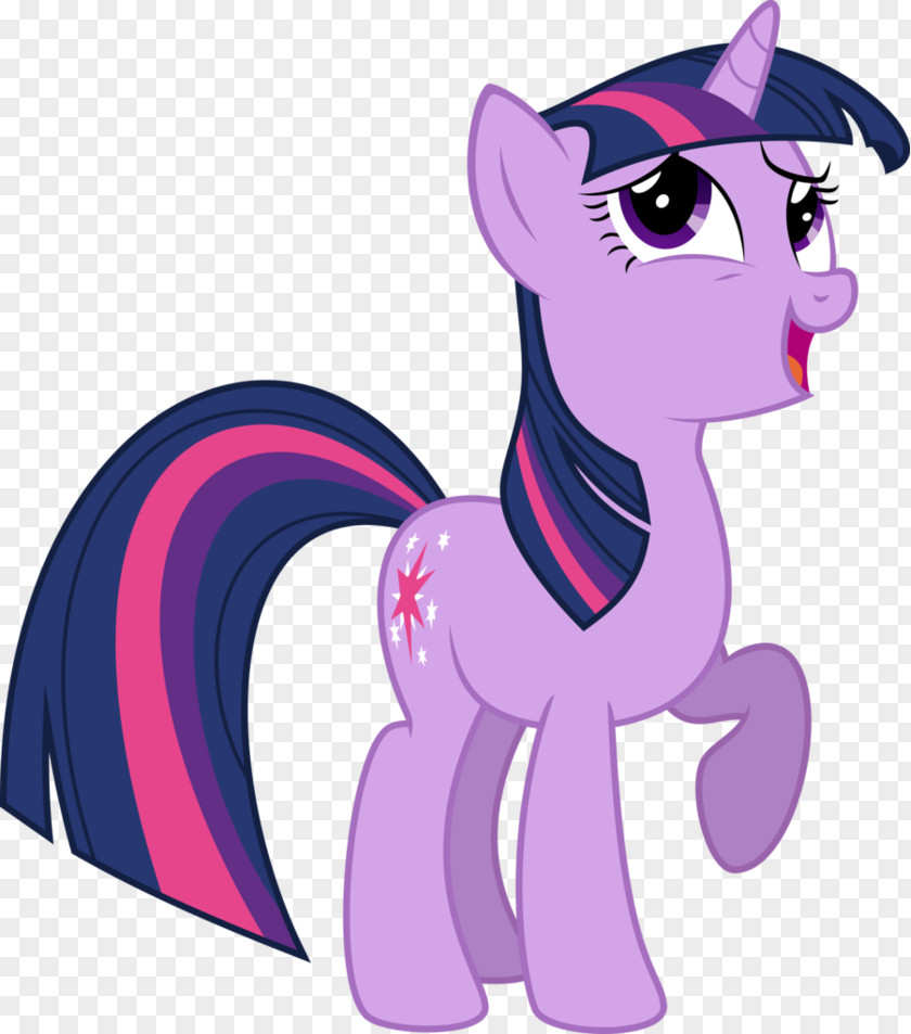 Twilight Sparkle Pinkie Pie Pony The Saga Art PNG