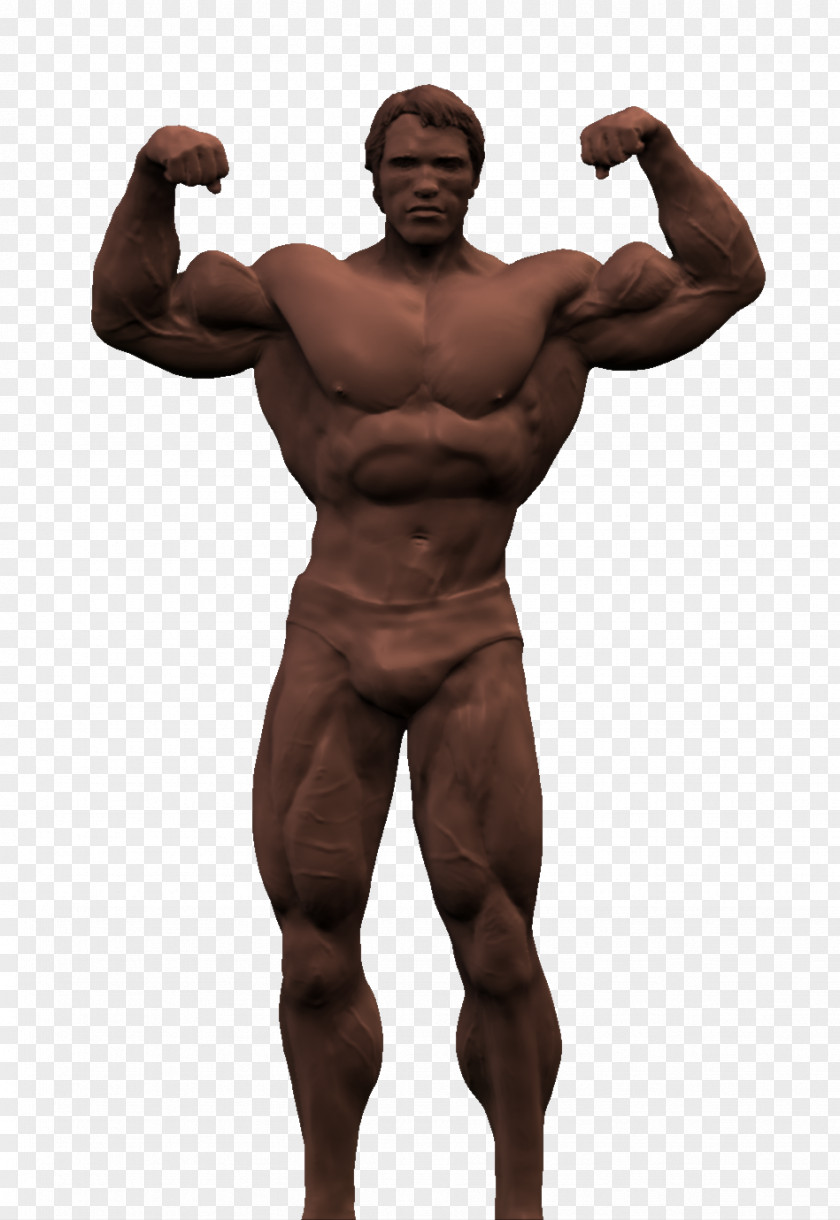 Arnold Schwarzenegger Transparent Background PNG