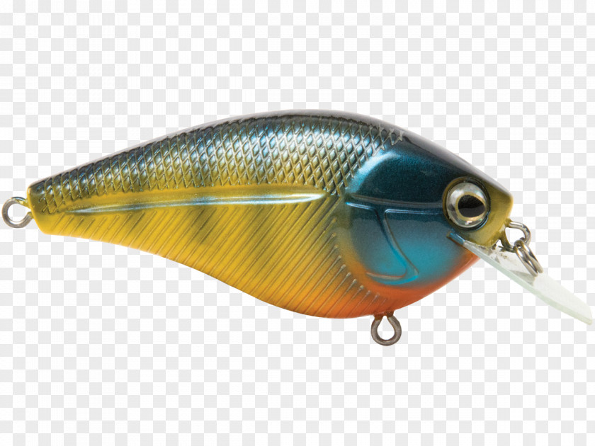 Design Spoon Lure Perch PNG
