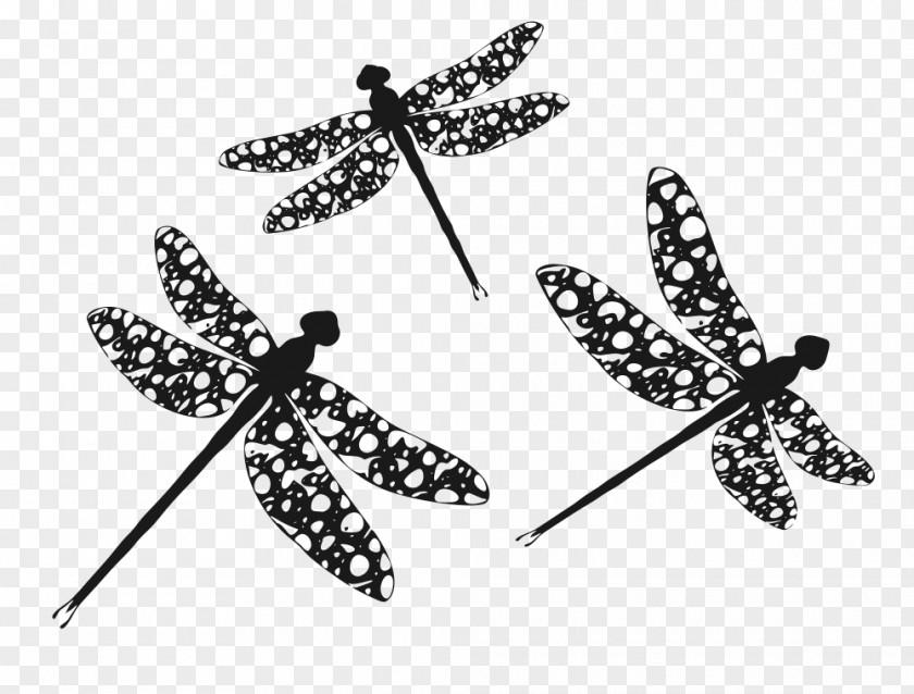 Dragonfly Silhouette Clip Art PNG