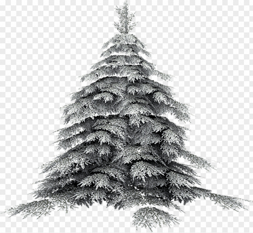Snow Tree Artificial Christmas PNG