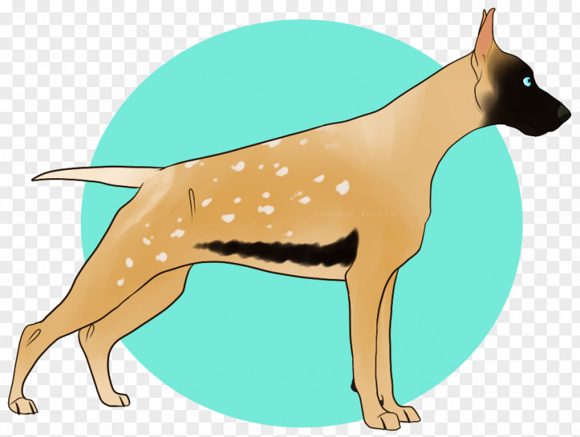 Agouti Graphic Dog Breed Italian Greyhound Illustration Clip Art PNG