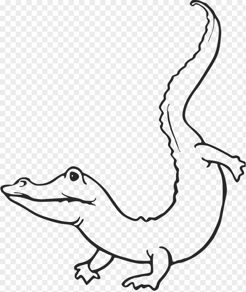Alligator Crocodile Stencil Clip Art PNG