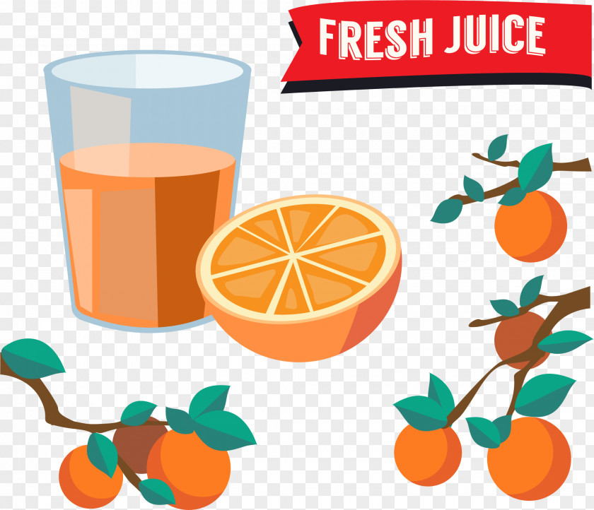 Cartoon Glass Of Orange Juice Mandarin Drawing PNG
