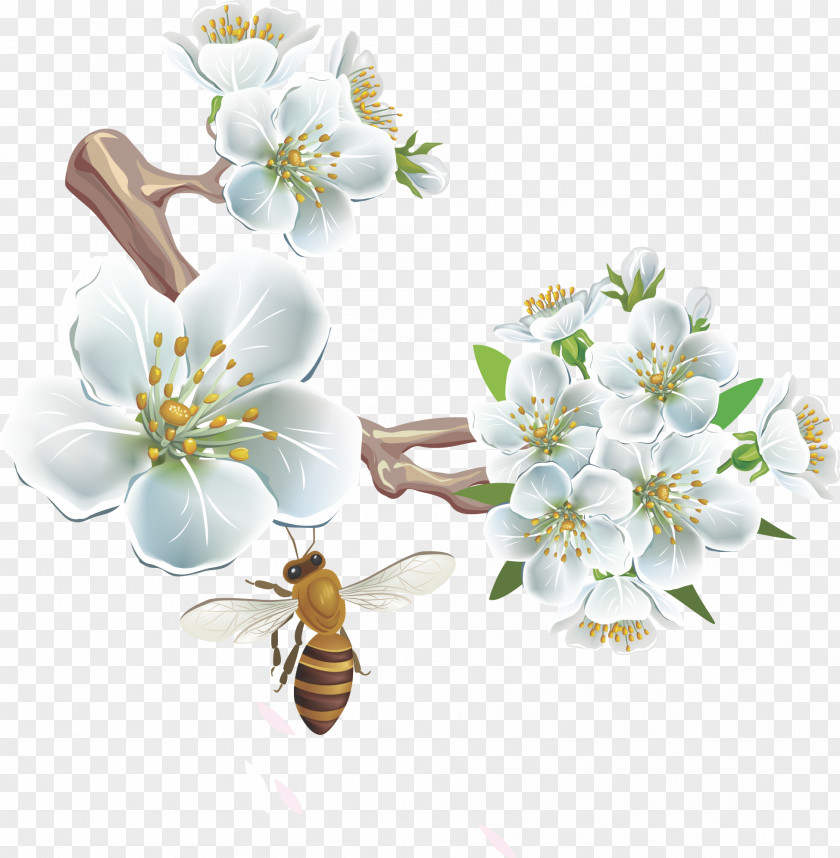 Cherry Tree Branches Flower Clip Art PNG
