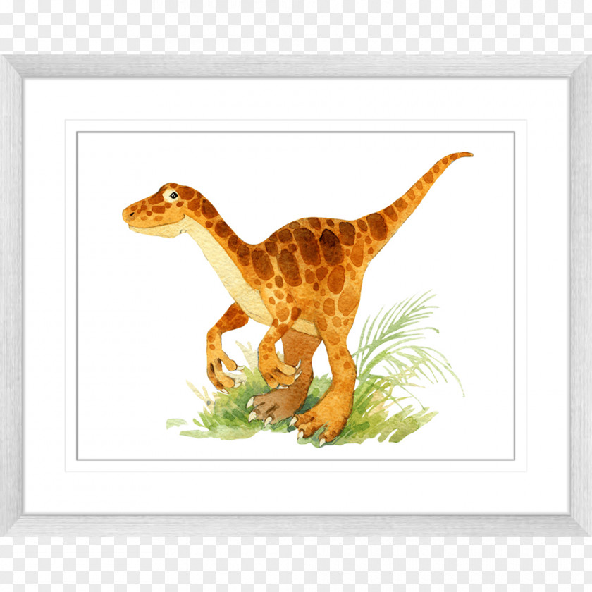 Dinosaur Velociraptor Diplodocus Tyrannosaurus Argentinosaurus PNG