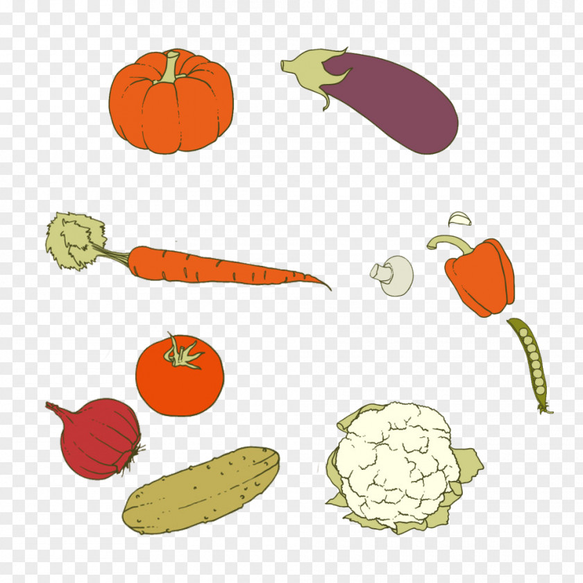 Fresh Vegetables Figure Carrot Vegetarian Cuisine Vegetable Pumpkin PNG