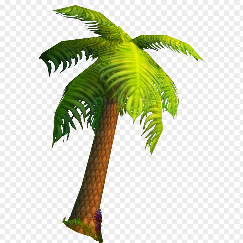 Palm Leaf World Of Warcraft Ceroxyloideae Coryphoideae Calamoideae Tree PNG