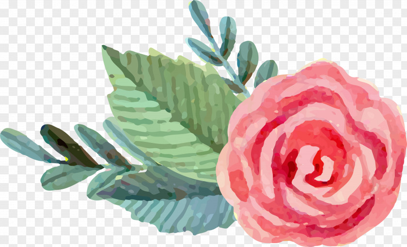 Pink Rose Garden Roses Beach Watercolor: Flowers Watercolor Painting PNG
