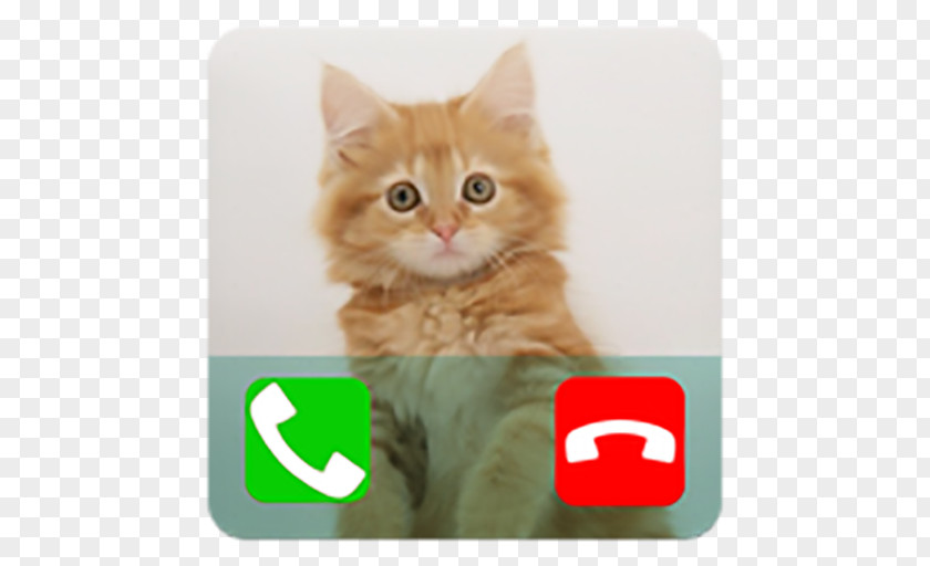 Prank Phone Calling Fake Call Talking Cat Telephone PNG