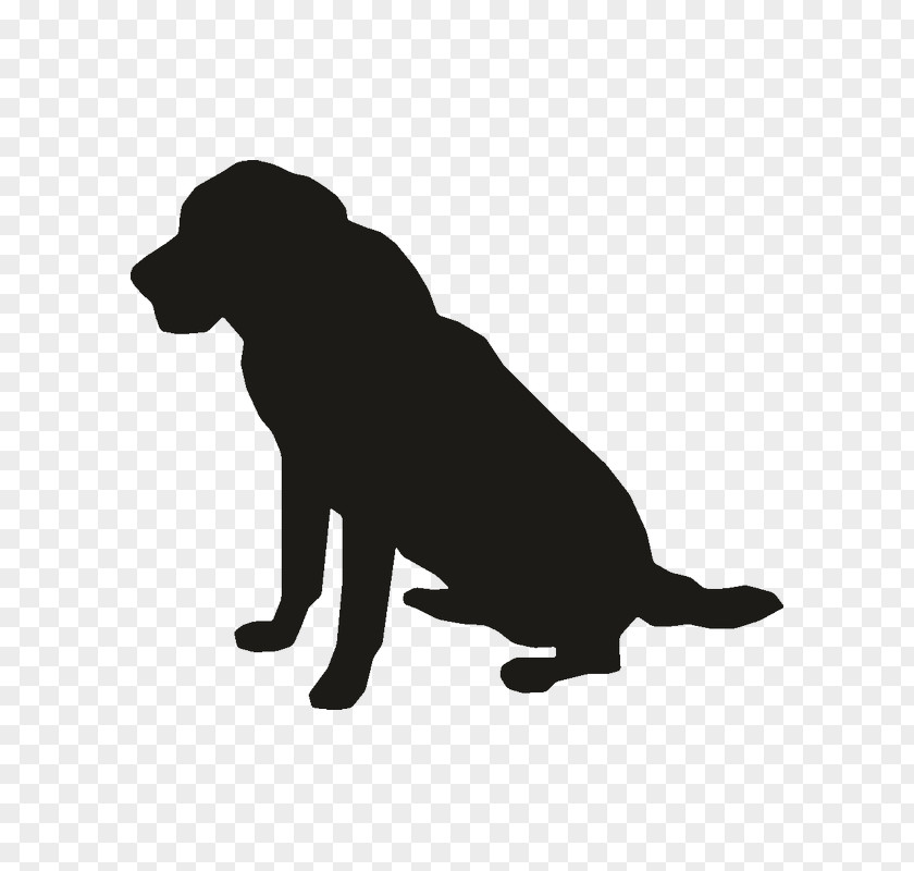Puppy Labrador Retriever Dog Breed Cat PNG
